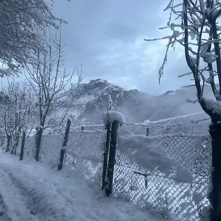 Il Nocciolo * Avenone